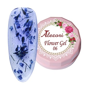 Alezori Flower Gel 06   6g