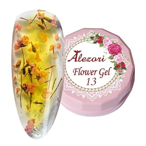 Alezori Flower Gel 13   6g